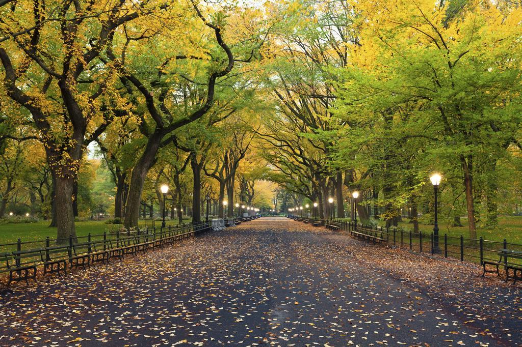 Hudson Central Park, A Morgans Hotel New York Luaran gambar